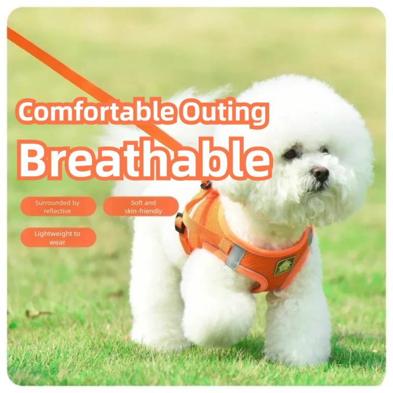 Pet Supplies In Amazon - Pet Harness Reflective Ventilated Dog Vest