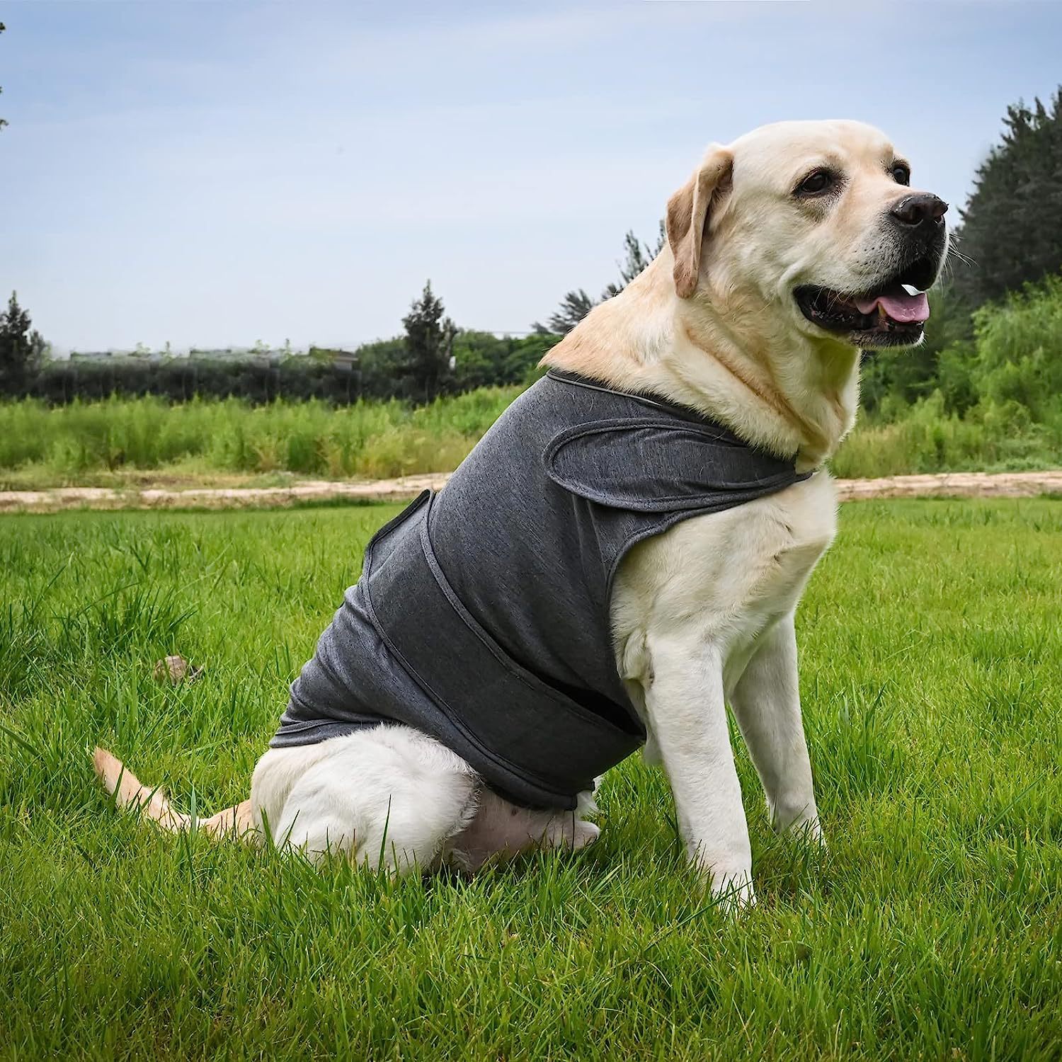 Pet Supplies In Amazon - Hot Sale Pet Supplies Pet Clothes
