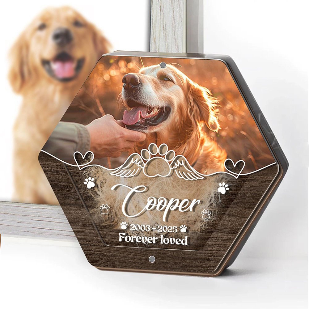 Pet Supplies Store - Personalized Name Wooden Carving Pet Hair