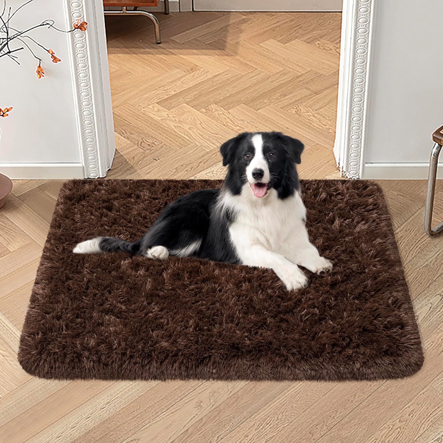 VIKAMA Silk And Wool Carpets A - Pet Supplies Dog Wash recensie en prijs