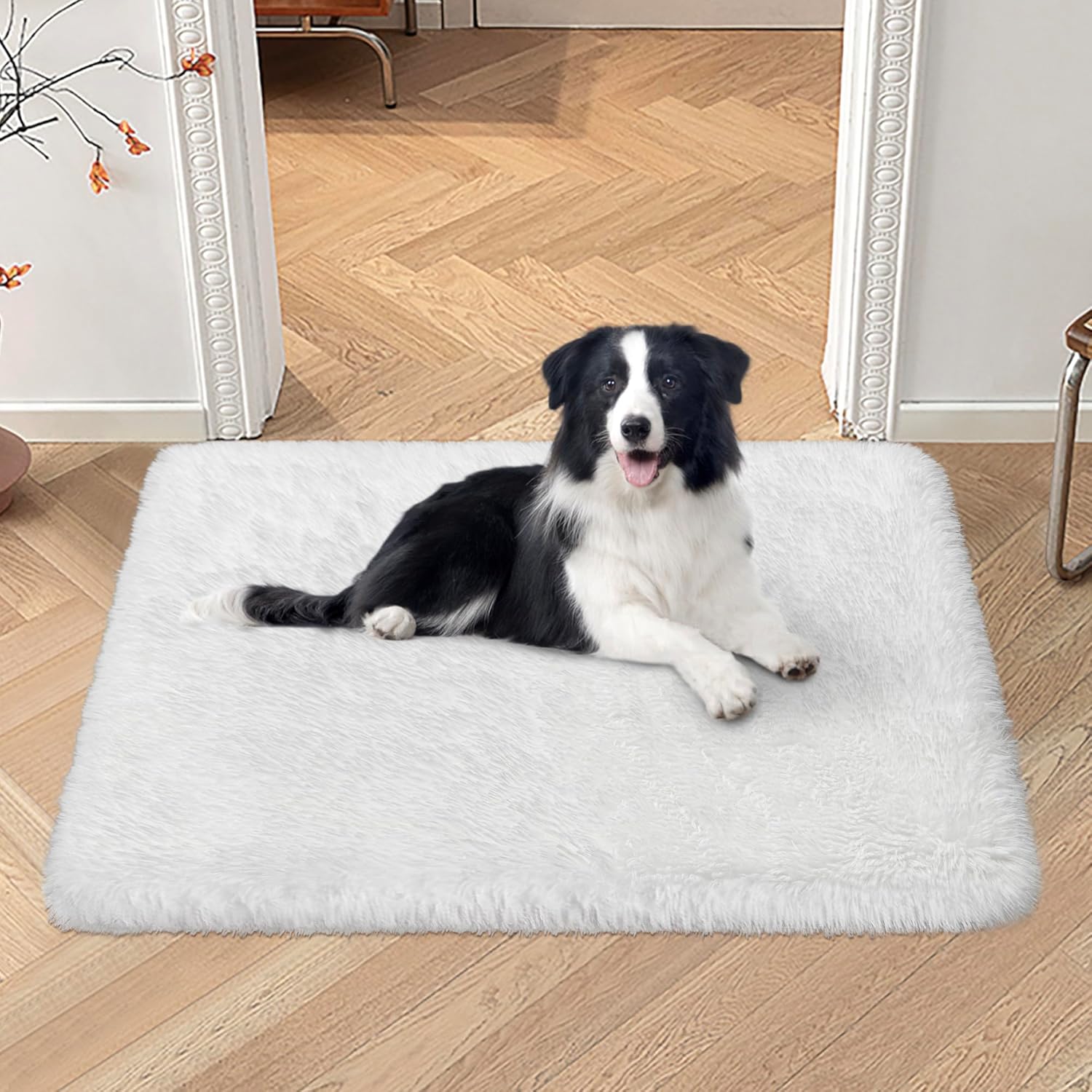 VIKAMA Silk And Wool Carpets A - Pet Supplies Dog Wash recensie en prijs