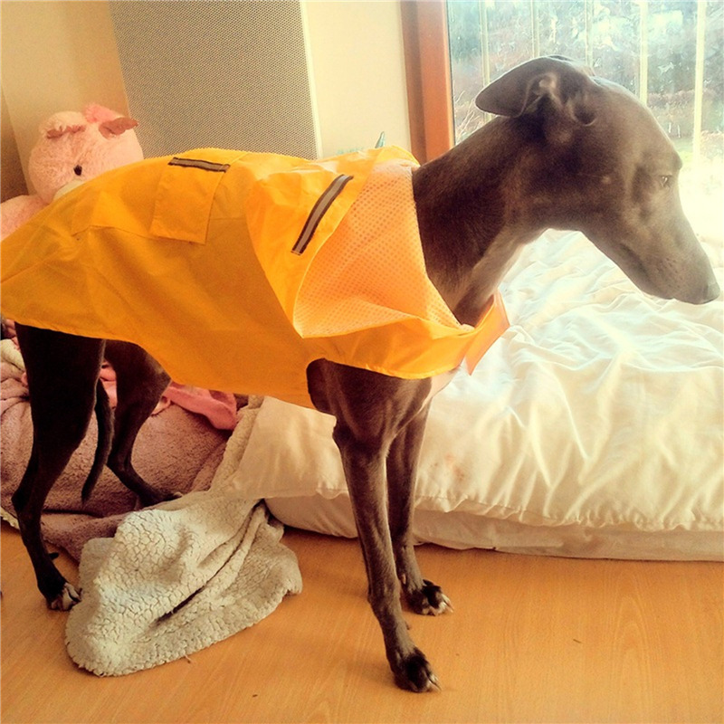Dog Raincoat Waterproof Hoodie - Dog Raincoat recensie en prijs