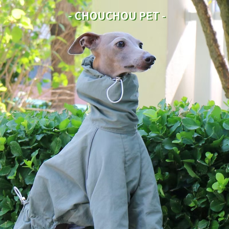 Italian Greyhound Raincoat Aut - Dog Raincoat recensie en prijs