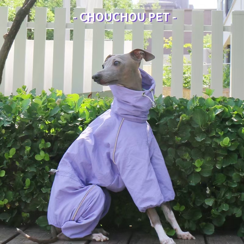 Italian Greyhound Raincoat Aut - Dog Raincoat recensie en prijs
