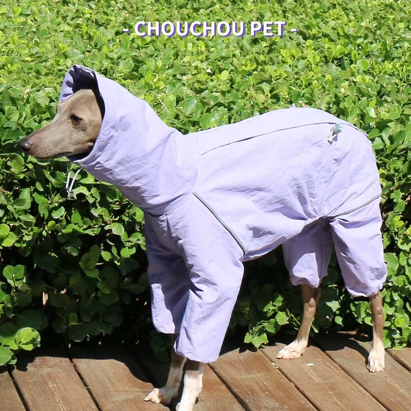 Italian Greyhound Raincoat Aut - Dog Raincoat recensie en prijs