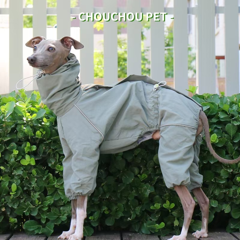 Italian Greyhound Raincoat Aut - Dog Raincoat recensie en prijs