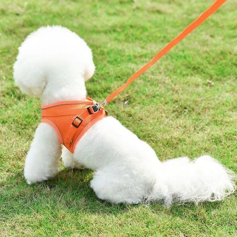 Pet Harness Reflective Ventila - Pet Supplies In Amazon recensie en prijs