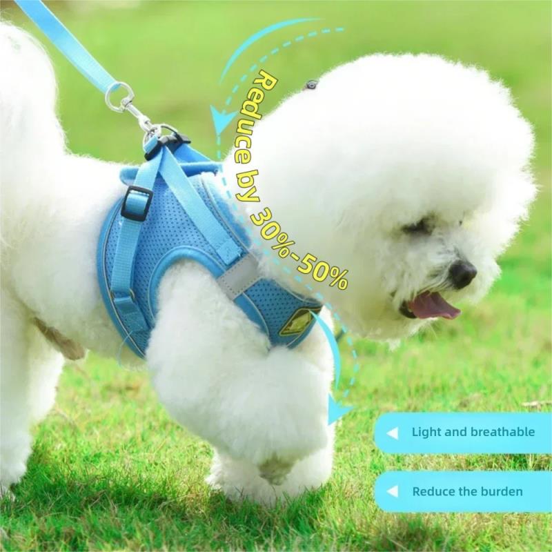 Pet Harness Reflective Ventila - Pet Supplies In Amazon recensie en prijs
