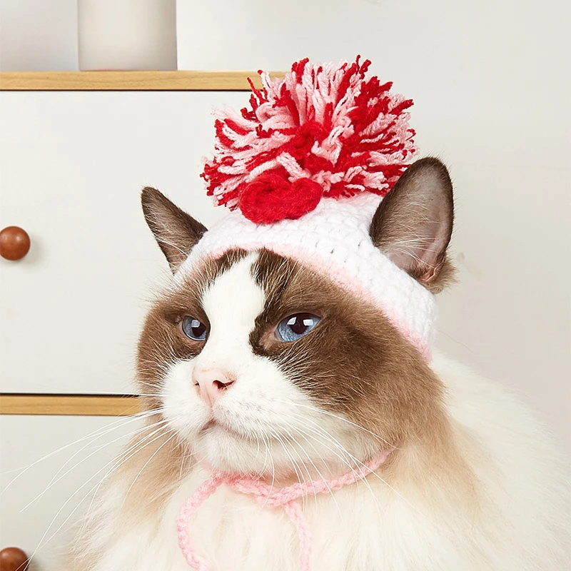 Factory direct sales pet knitt - Pet Supplies In Amazon recensie en prijs