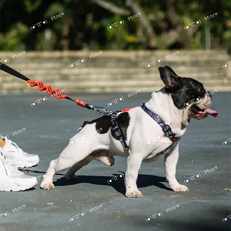 explosion-proof medium and lar - Pet Supplies For Dogs recensie en prijs