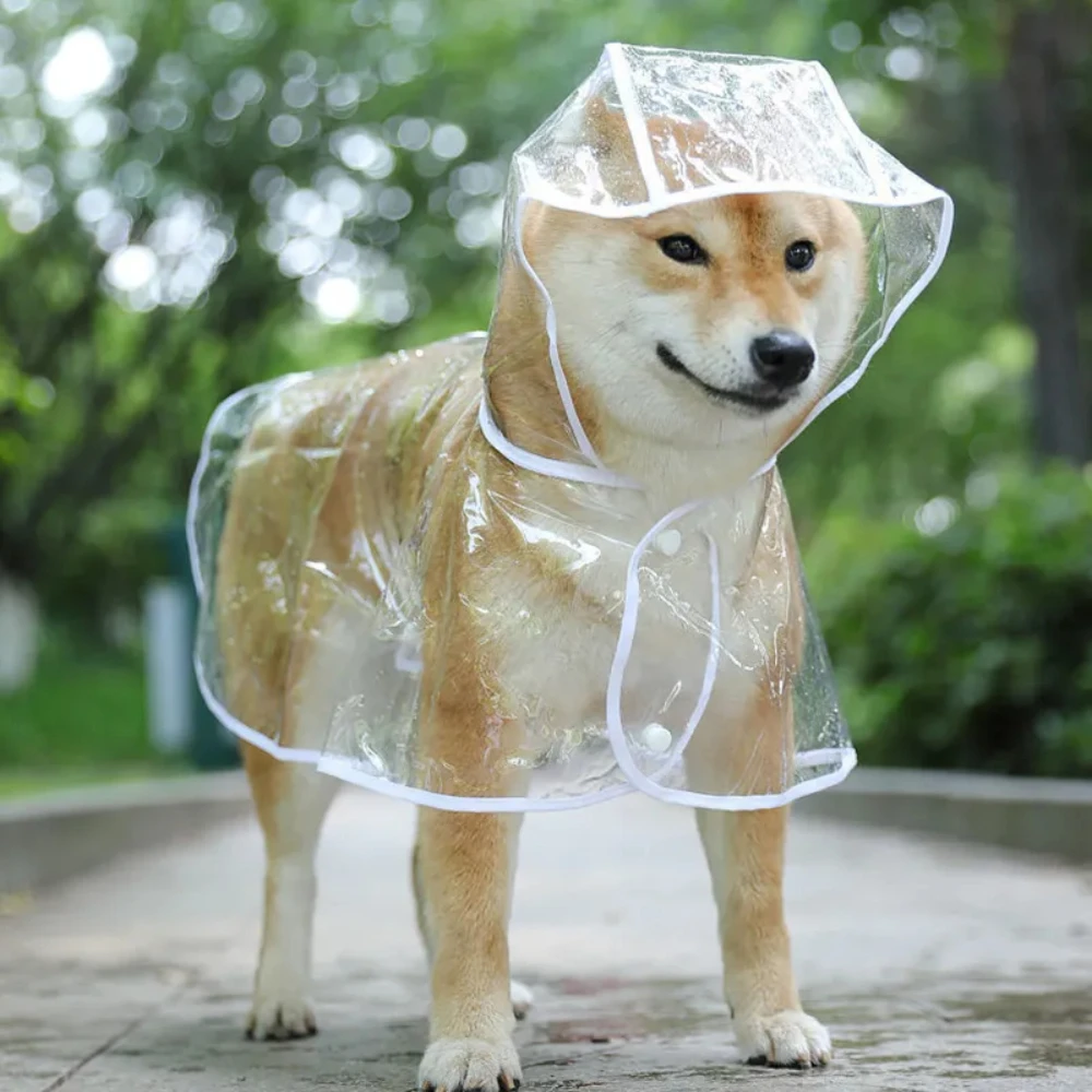 Dog Raincoat Puppy Transparent - Dog Raincoat recensie en prijs