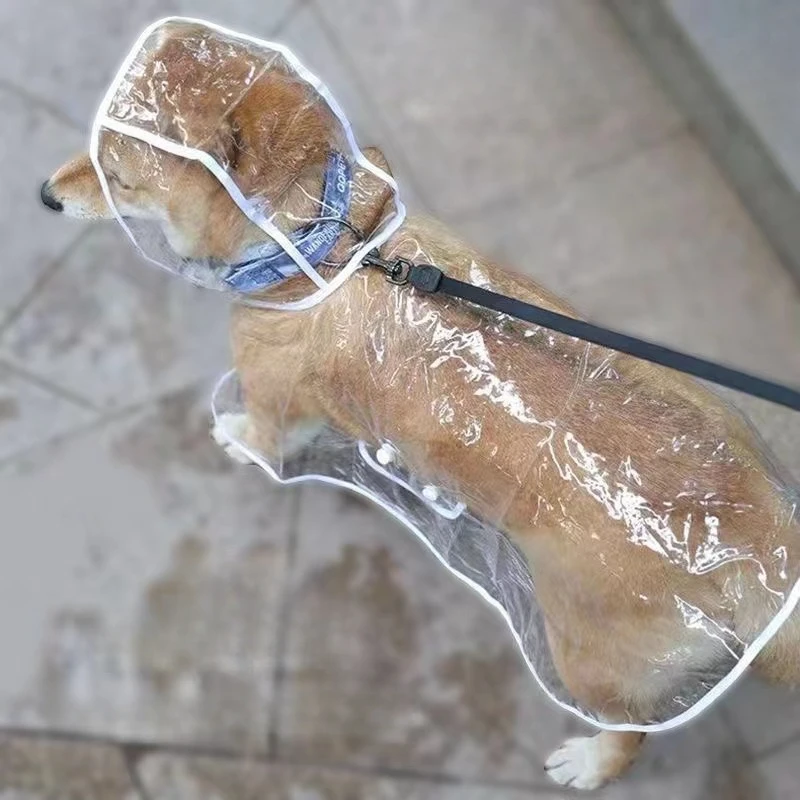 Dog Raincoat Puppy Transparent - Dog Raincoat recensie en prijs