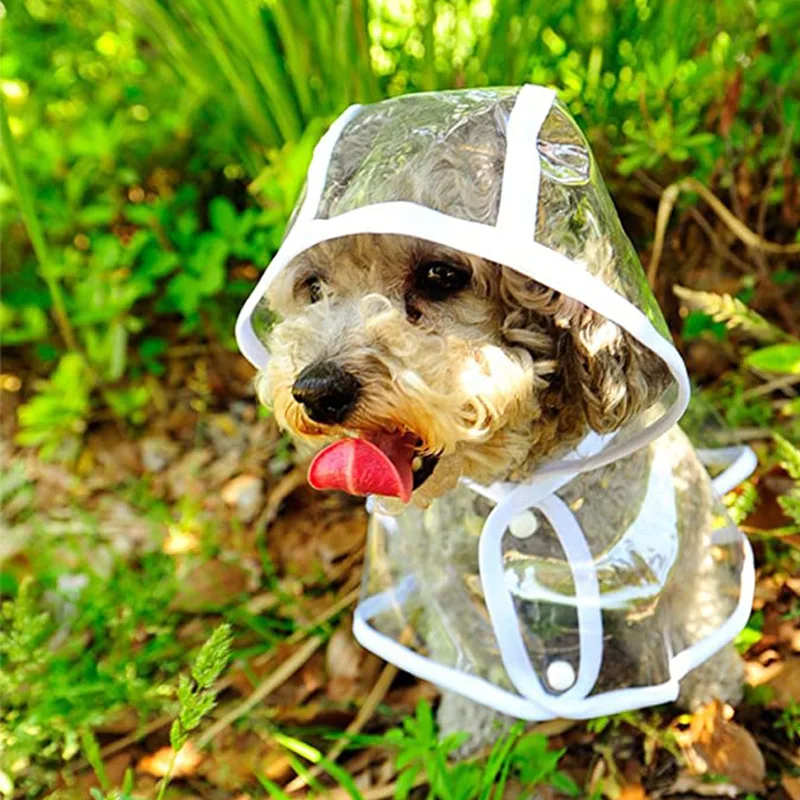 Dog Raincoat Puppy Transparent - Dog Raincoat recensie en prijs