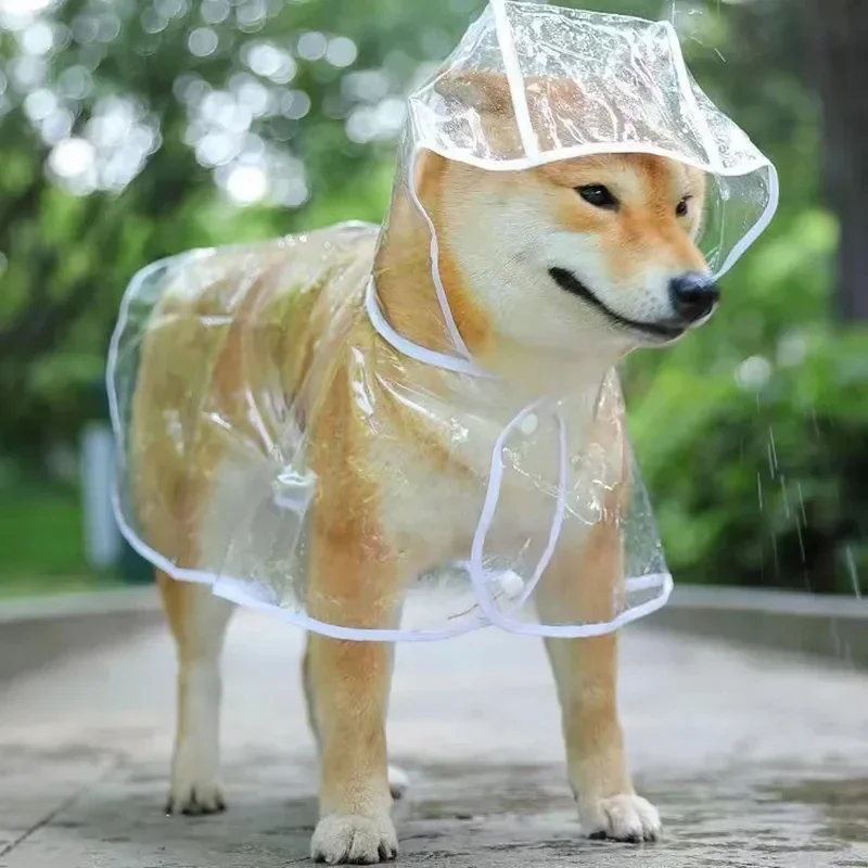 Dog Raincoat Puppy Transparent - Dog Raincoat recensie en prijs