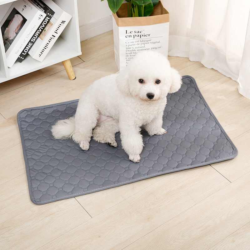 Reusable Dog Pee Pad Blanket A - Pet Supplies Dog Wash recensie en prijs