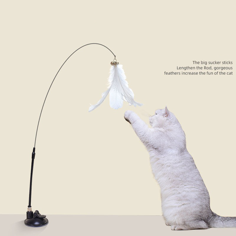New powerful suction cat-teasi - Pet Supplies In Amazon recensie en prijs