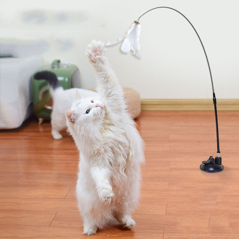 New powerful suction cat-teasi - Pet Supplies In Amazon recensie en prijs
