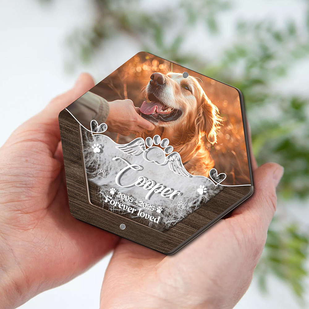 Personalized Name Wooden Carvi - Pet Supplies Store recensie en prijs