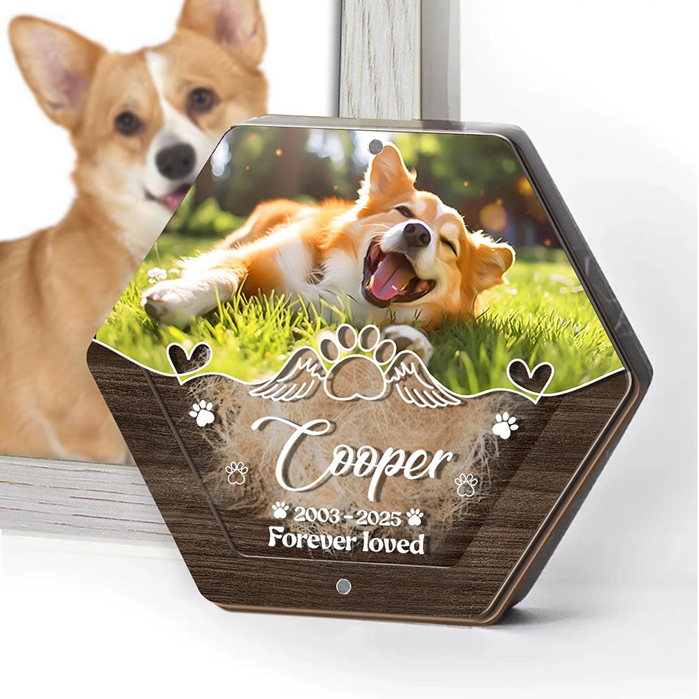 Personalized Name Wooden Carvi - Pet Supplies Store recensie en prijs