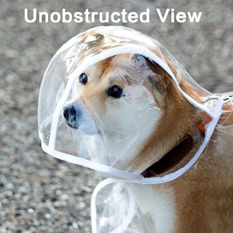Outdoor Pet Raincoat Transpare - Dog Raincoat recensie en prijs