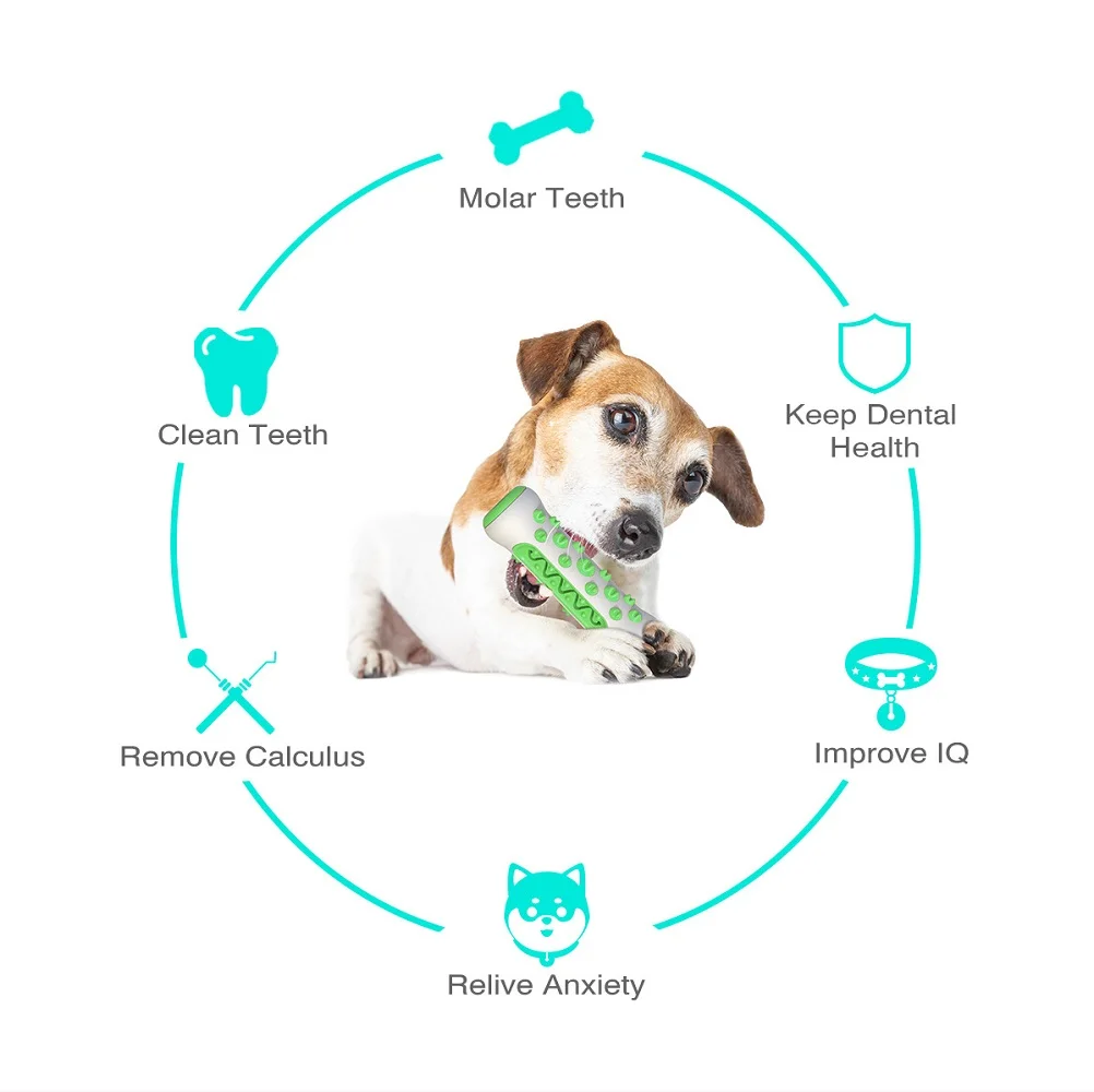 Pet Supplies Amazon Pop Dog To - Pet Supplies In Amazon recensie en prijs