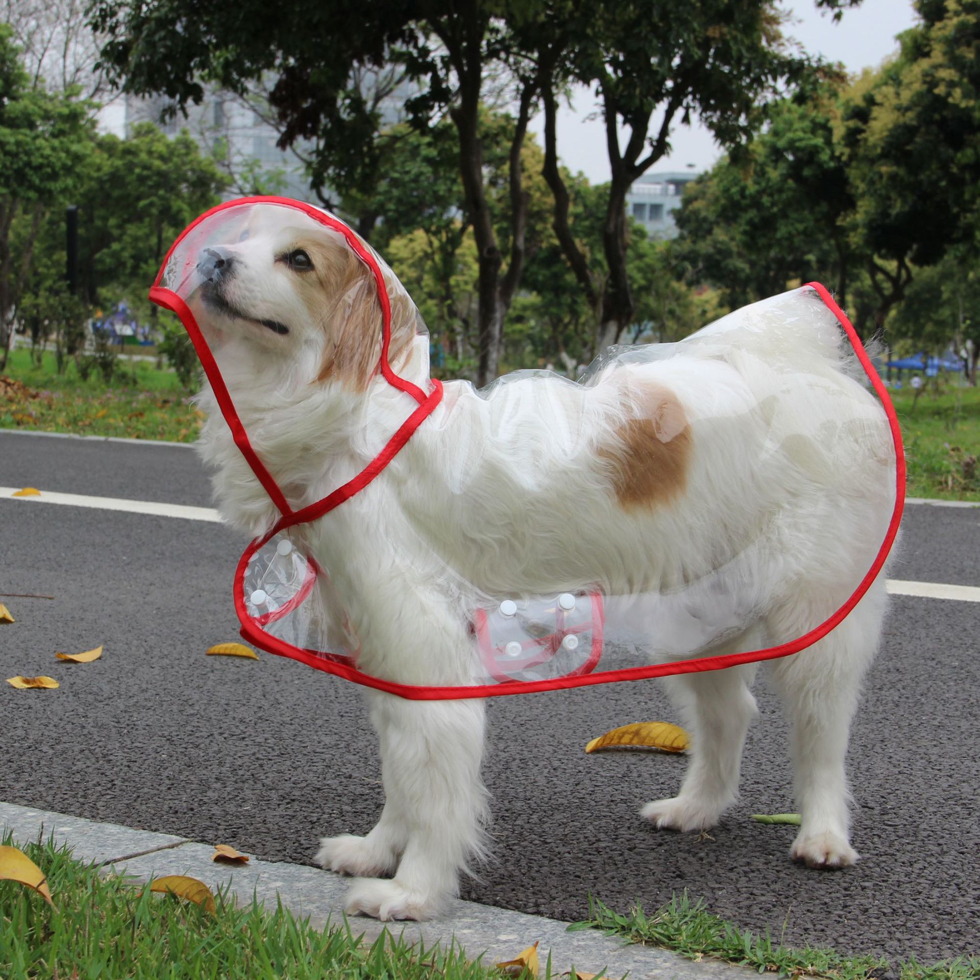 Xs-8XL Fashionable Pet Dog Clo - Dog Raincoat recensie en prijs