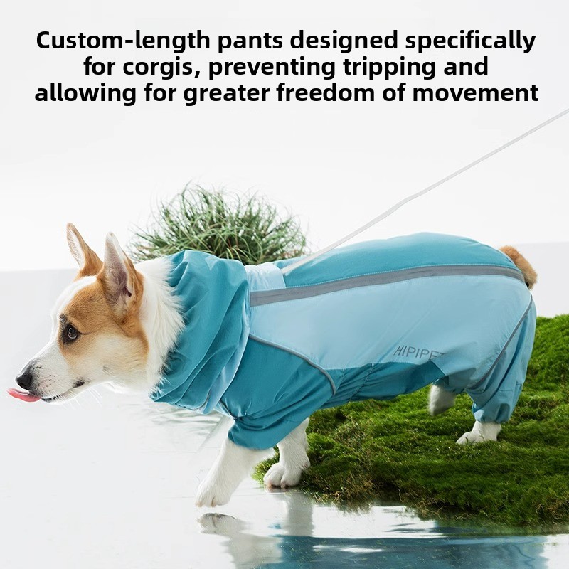 2026 Full Coverage Color Block - Dog Raincoat recensie en prijs