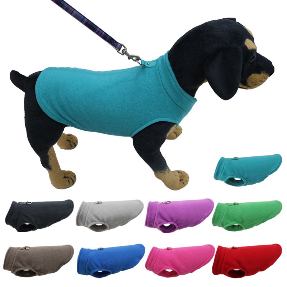 Europe, America, Amazon pet cl - Pet Supplies In Amazon recensie en prijs