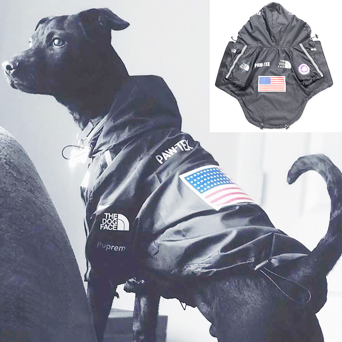 Pet Dog Waterproof Coat Dog Ra - Dog Raincoat recensie en prijs