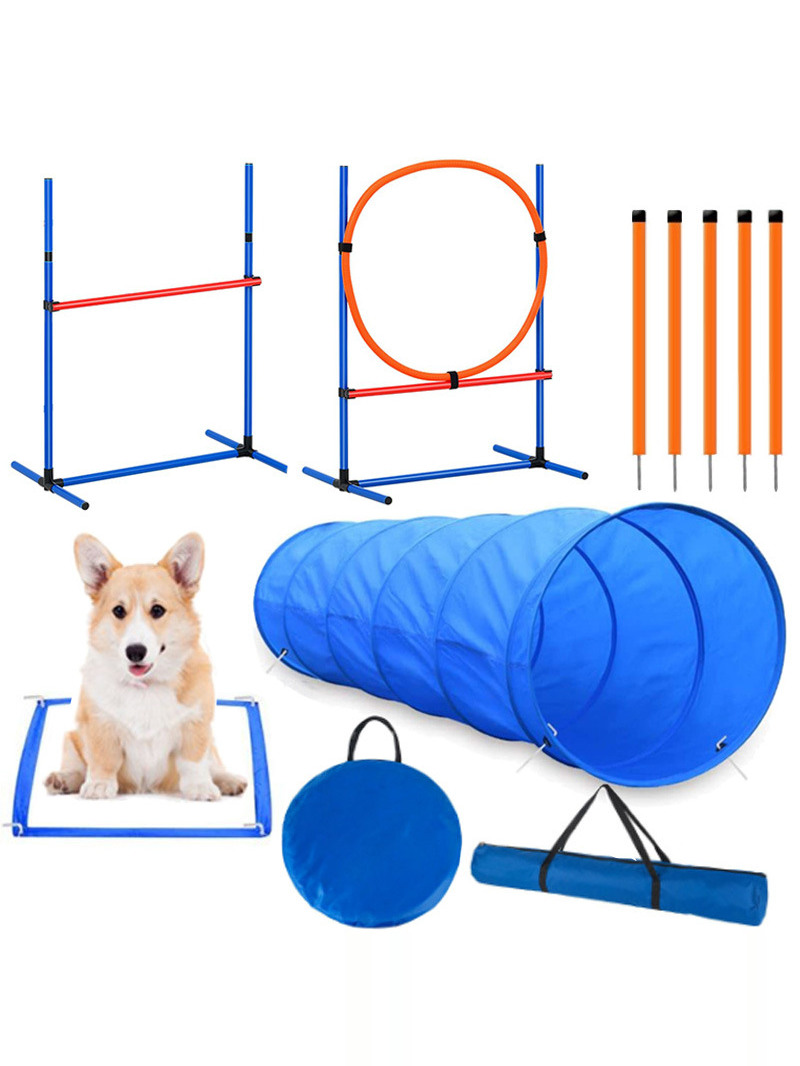 Dog Obstacle Training Competit - Pet Supplies For Dogs recensie en prijs
