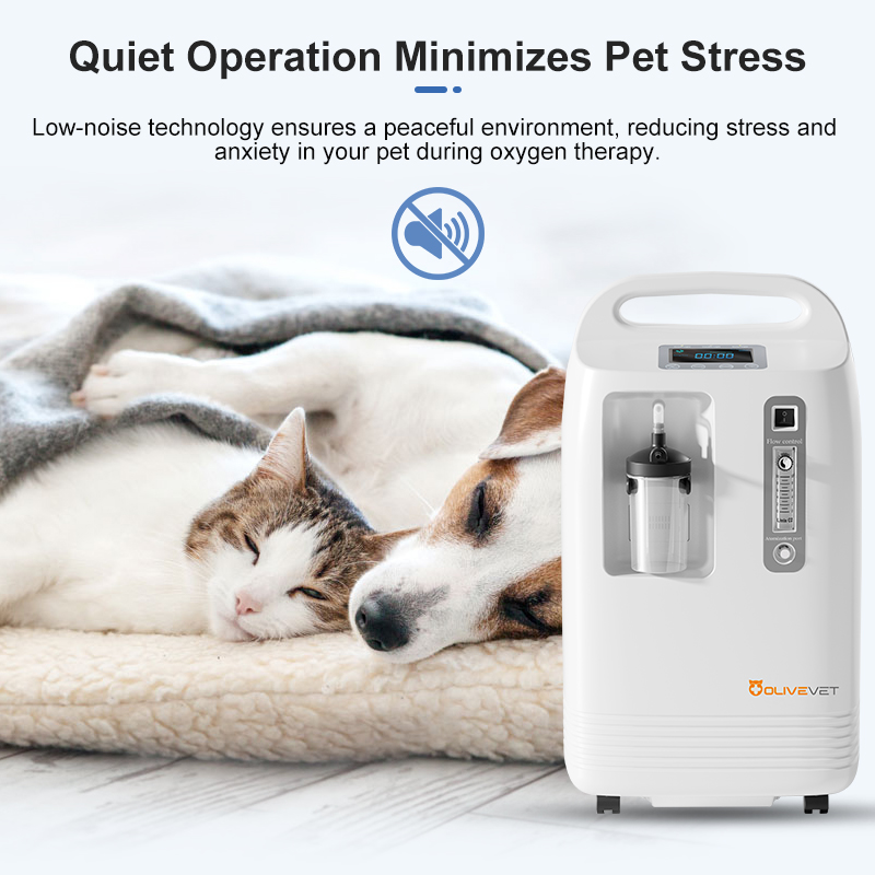 Multi-spec veterinary oxygen c - Pet Supplies For Dogs recensie en prijs