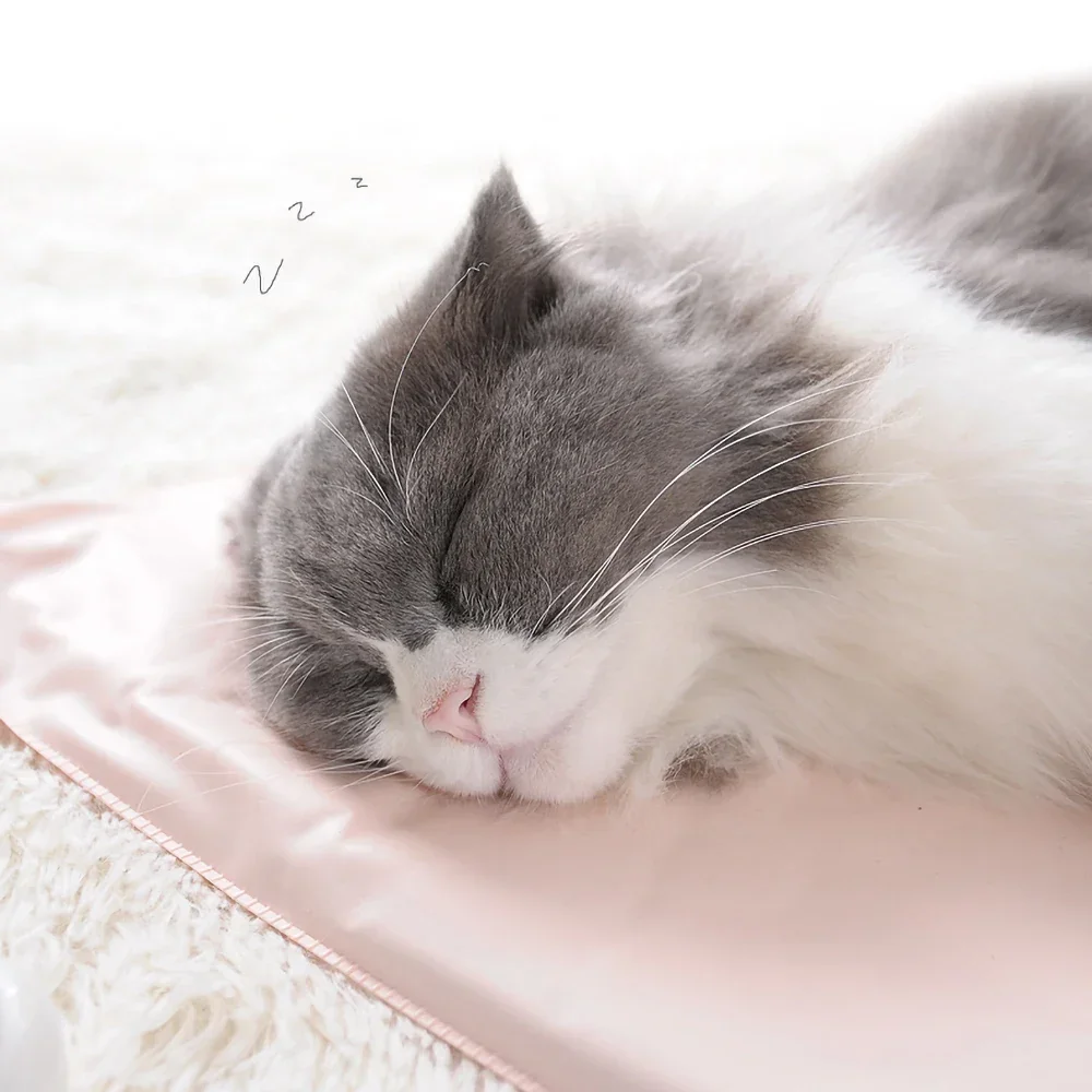 Winter Pet Heating Blanket Wat - Pet Supplies Dog Wash recensie en prijs