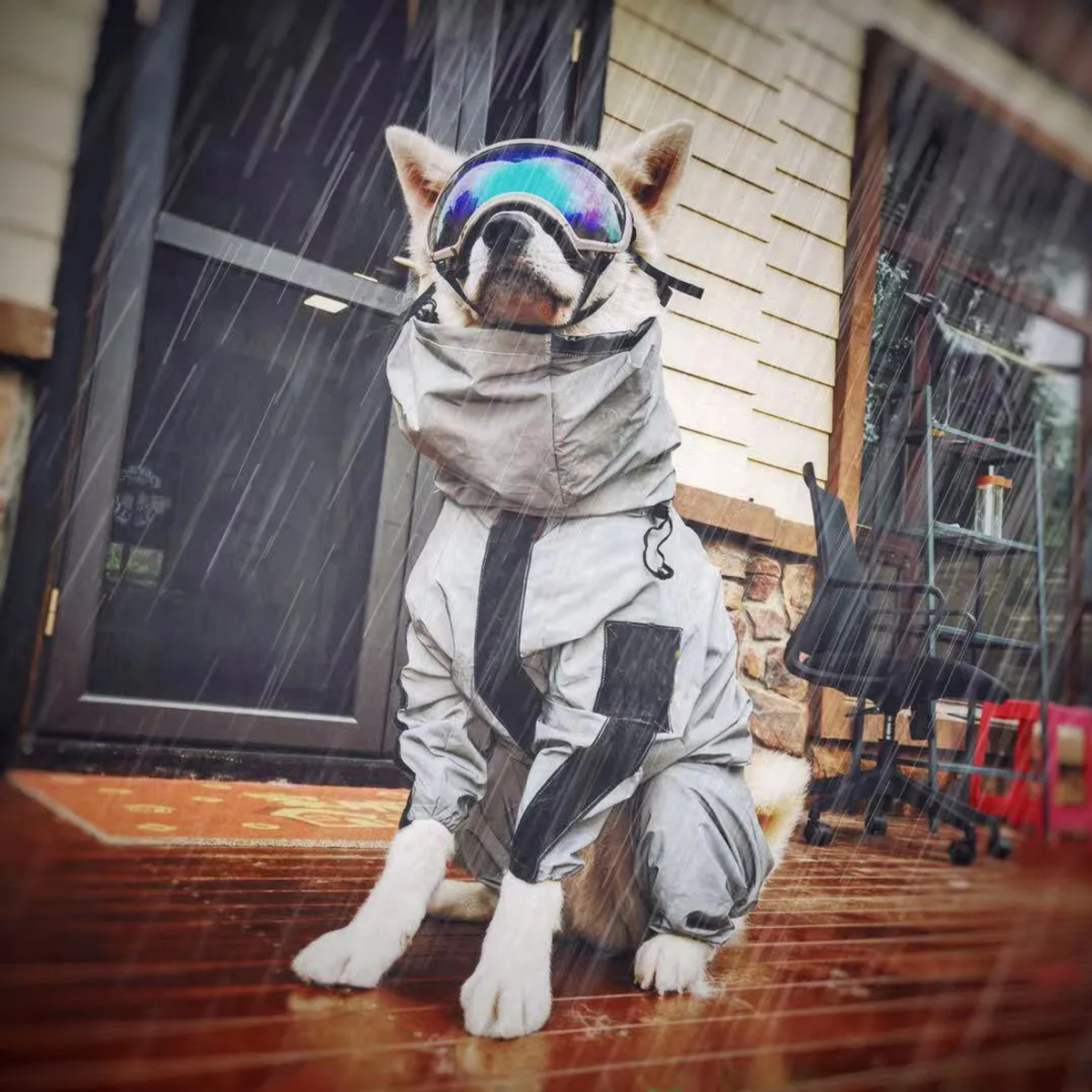 Outdoor Large Dog Raincoat Sun - Dog Raincoat recensie en prijs